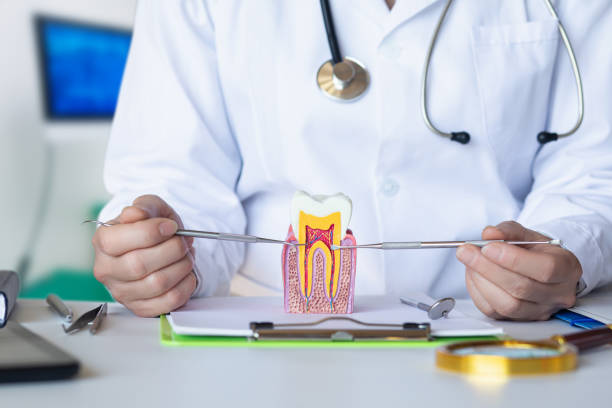 Best Emergency Treatment for Dental Infections or Abscesses in Firestone, CO